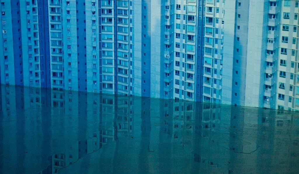 A still from WangShui’s film “From its mouth came a river of high-end residential appliances”. Photo: courtesy of WangShui and Blindspot Gallery A still from WangShui’s film “From its mouth came a river of high-end residential appliances”. Photo: courtesy of WangShui and Blindspot Gallery