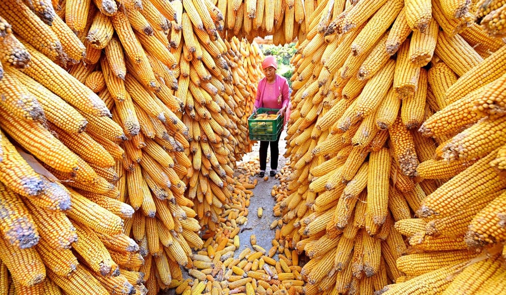 Beijing may be about to take a big step in crop production, analysts say. Photo: Xinhua