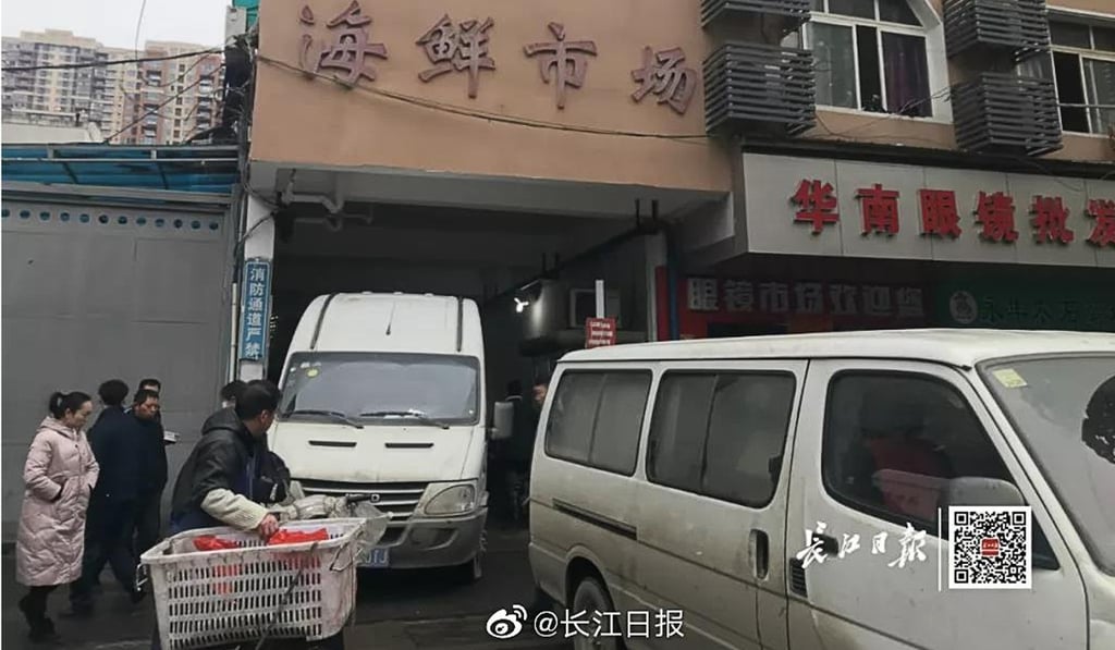 The World Health Organisation says it has spoken to the Chinese government about the outbreak. Photo: Yangtze Daily The World Health Organisation says it has spoken to the Chinese government about the outbreak. Photo: Yangtze Daily