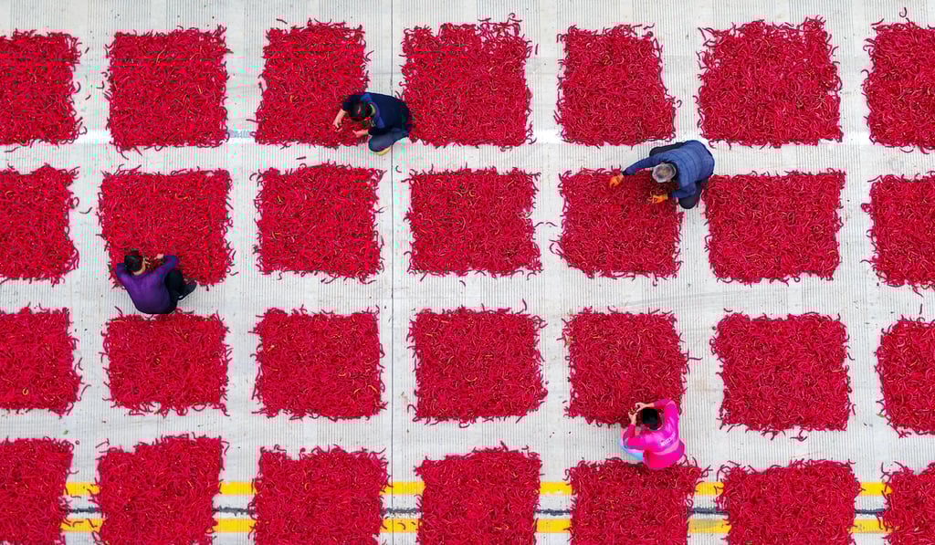 Farmers air chillies at a processing factory in Jize county, in north China’s Hebei province, on September 19, 2019. While Chinese higher incomes went largely to industrial cities, rather than rural areas, this is a common historical trend as economies evolve. Photo: Xinhua