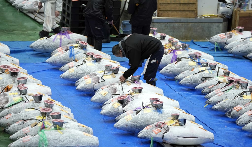 Sushi king pays US$1.8 million for bluefin tuna that weighs as