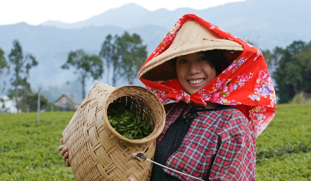 A study has shown that habitual tea drinkers live longer. Photo: Shutterstock