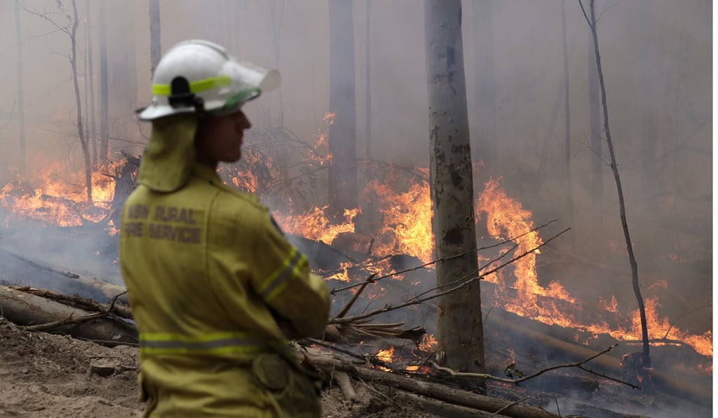 A firefighter keeps an eye on a controlled fire as they work at building a containment line at a bush fire near Bodalla on Sunday. Photo: AP A firefighter keeps an eye on a controlled fire as they work at building a containment line at a bush fire near Bodalla on Sunday. Photo: AP