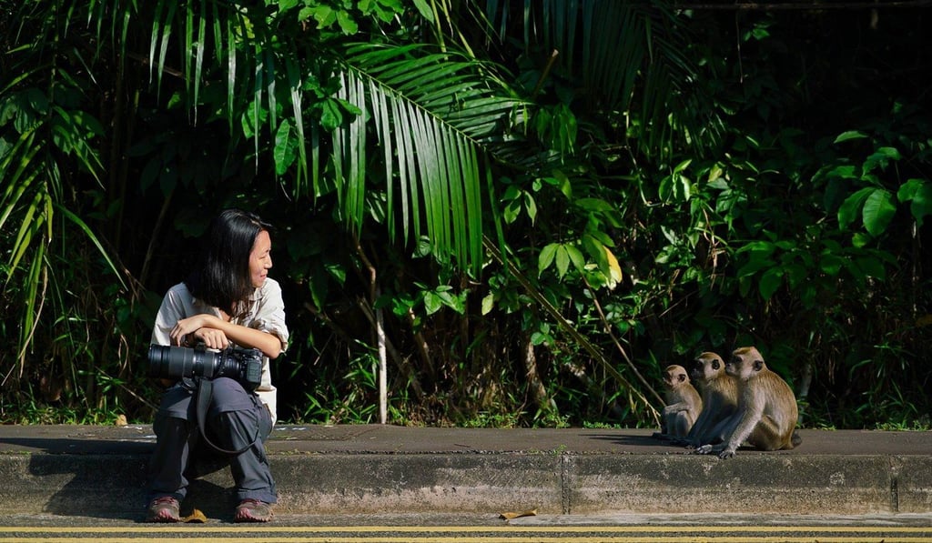 Andie Ang with long-tailed macaques in Singapore. Photo: James Chua