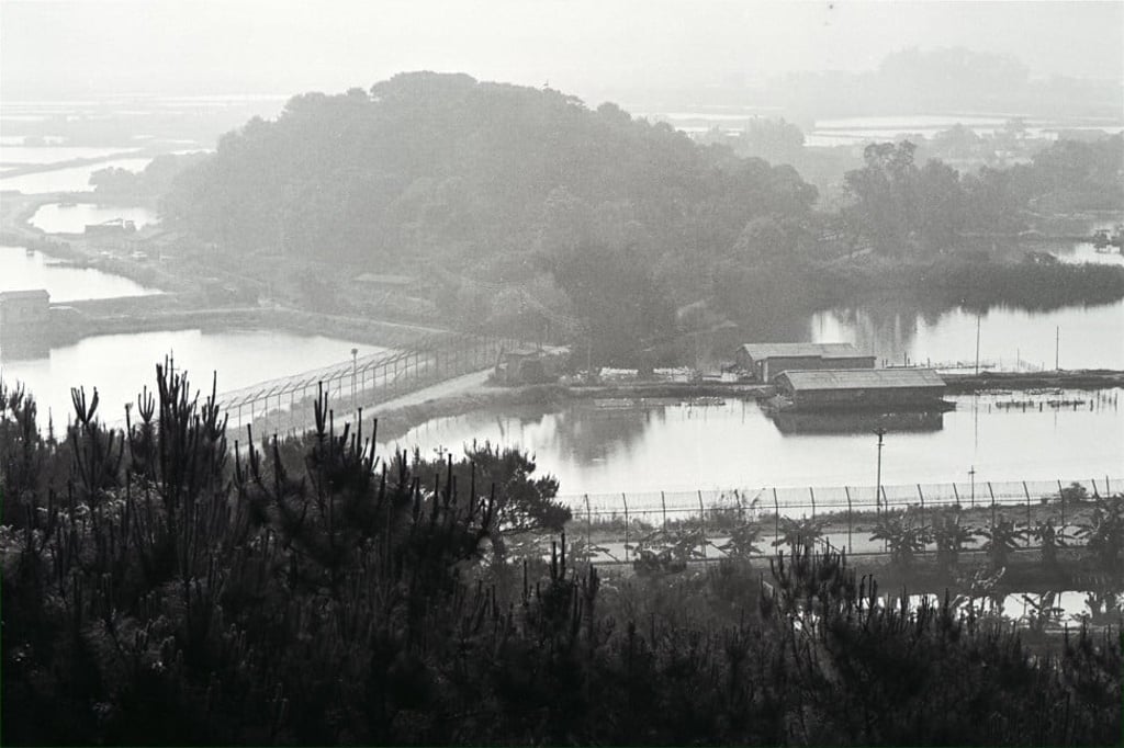 Shenzhen, seen from the Lok Ma Chau lookout, in 1983. Photo: SCMP