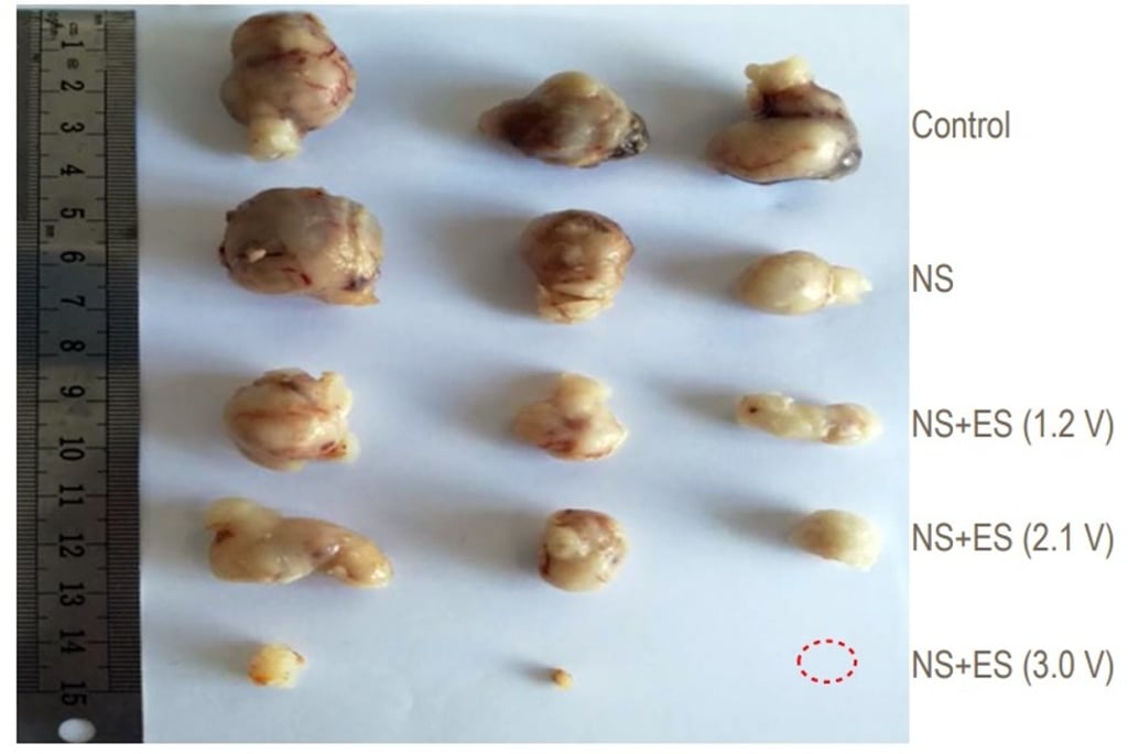 The tumours shrank dramatically after 16 days. Photo: Chinese Academy of Sciences The tumours shrank dramatically after 16 days. Photo: Chinese Academy of Sciences