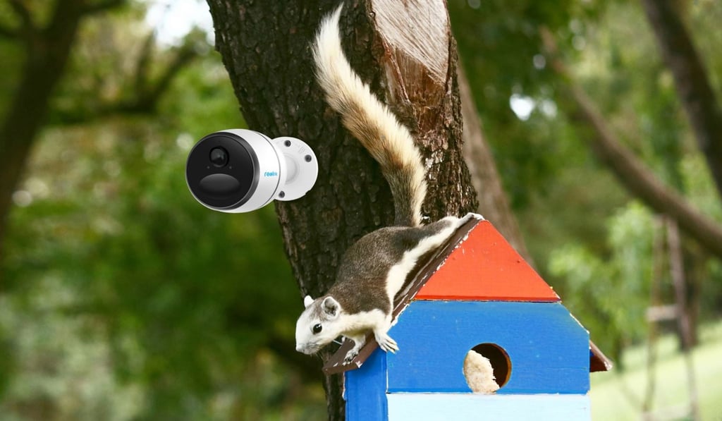 The Reolink Go security camera captures full HD surveillance footage. Photo: Reolink