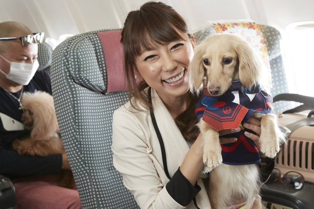 Chartered flights are being offered by Japan Airlines so travellers can fly with their pets. Chartered flights are being offered by Japan Airlines so travellers can fly with their pets.