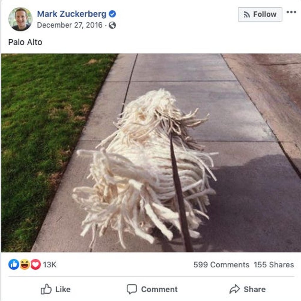 Mark Zuckerberg likes to go running with his Hungarian Sheepdog, Beast. Photo: Facebook
