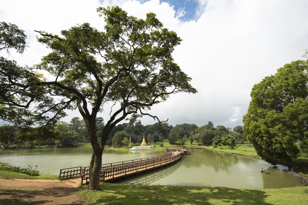 The botanical gardens in Pyin U Lwin, Myanmar. Photo: Shutterstock The botanical gardens in Pyin U Lwin, Myanmar. Photo: Shutterstock