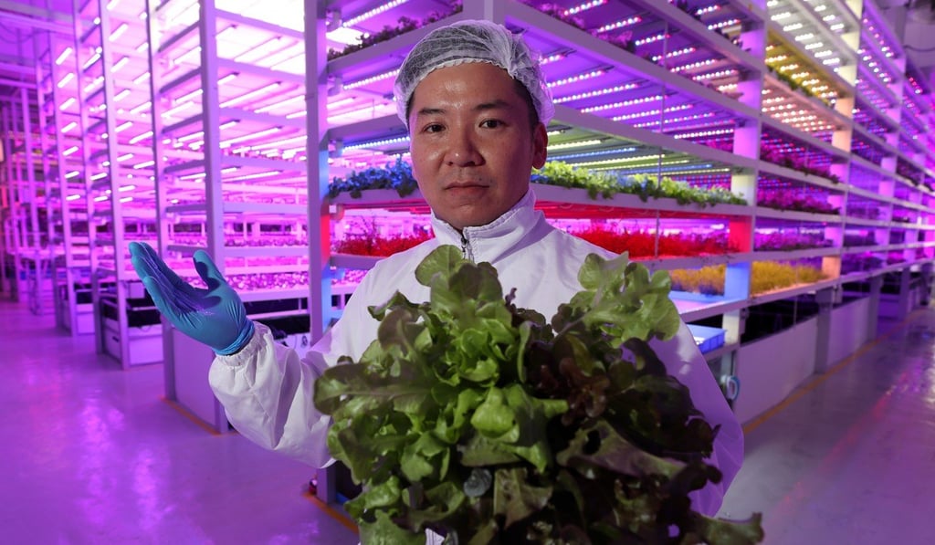 Farm66 chief executive Gordon Tam said a portion of his vertical vegetable firm was being turned into a mask-production facility. Photo: Edward Wong