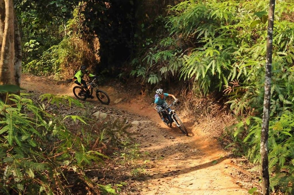 Mountain bikers fly down a trail at Singapore’s Chestnut Nature Park.