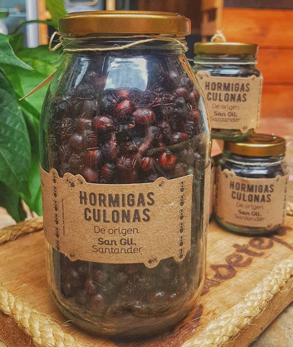 Jar of Roasted leafcutter ants. Photo: Instagram @caseteja1965