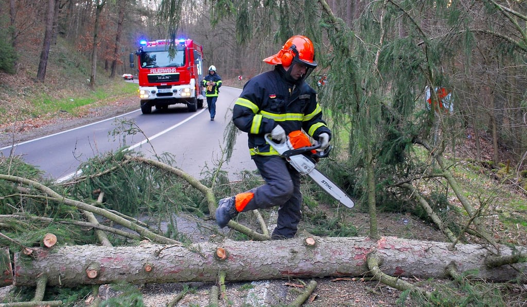 Firefighters clean up a tree blown down by the storm in Iserlohn, Germany, on Monday. Photo: Xinhua