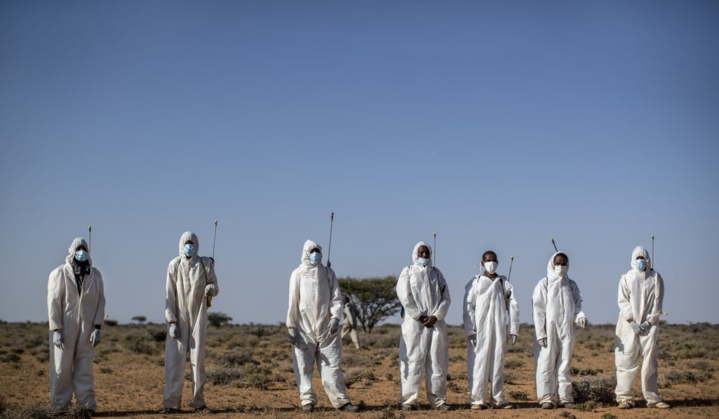 Pest-control sprayers in Somalia. Photo: AP Pest-control sprayers in Somalia. Photo: AP