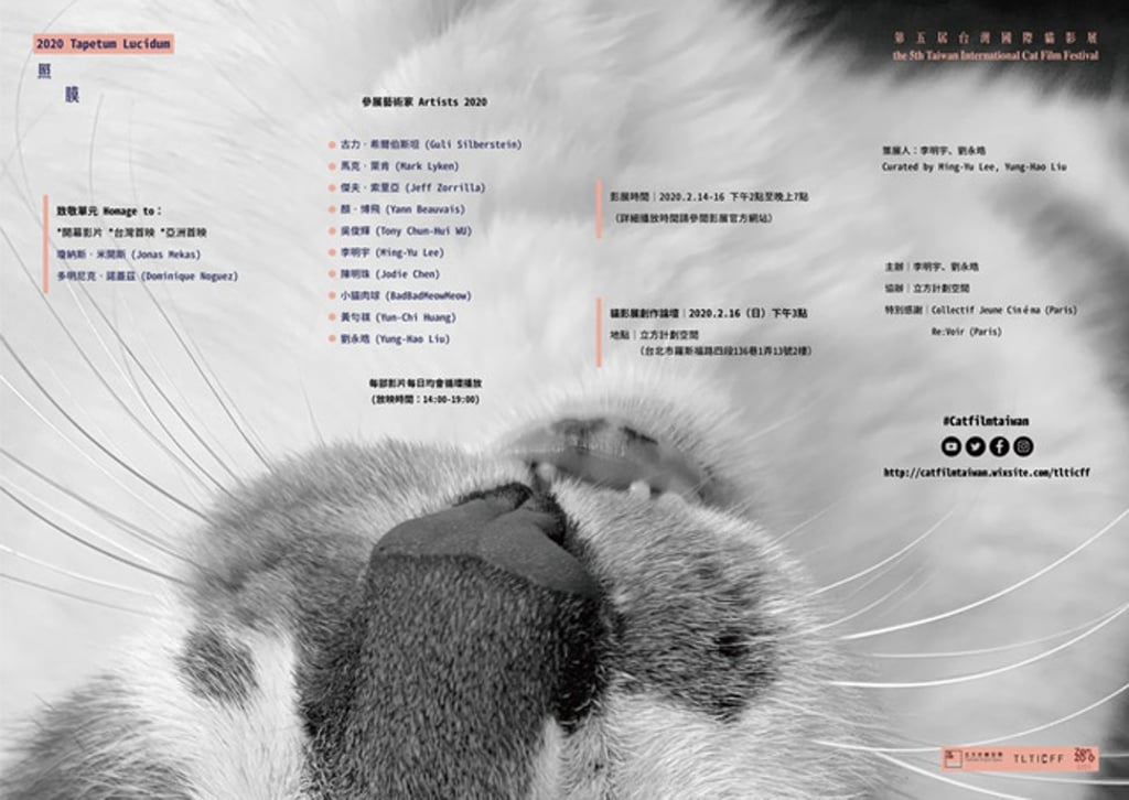 What to expect at the Taiwan International Cat Film Festival. Photo: handout