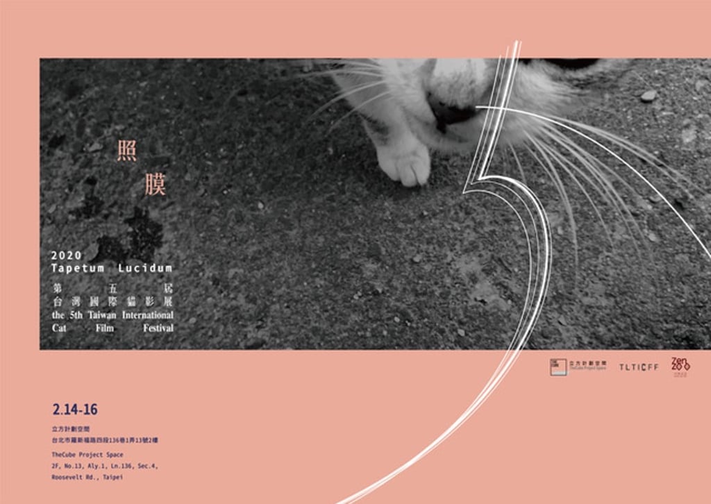 The Taiwan International Cat Film Festival is all about, well, cats in cinema. Photo: handout