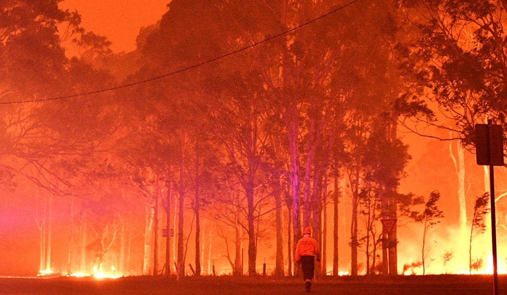 A firefighter in the Australian state of New South Wales. Photo: AFP