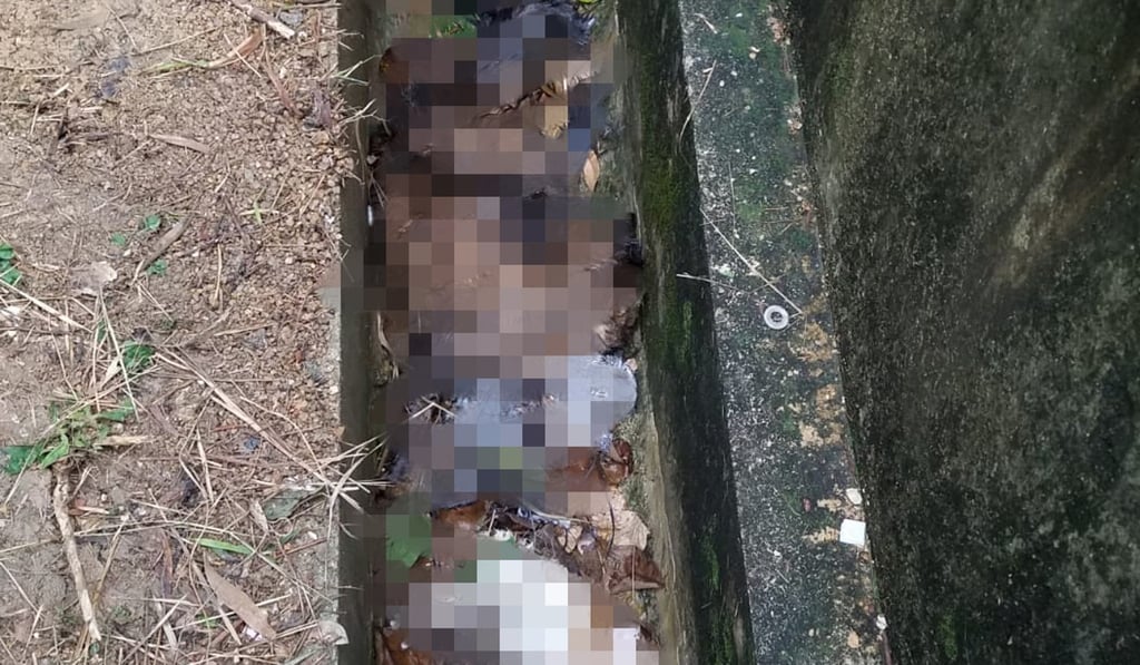 Carcasses in a ditch near the block. Photo: Handout Carcasses in a ditch near the block. Photo: Handout