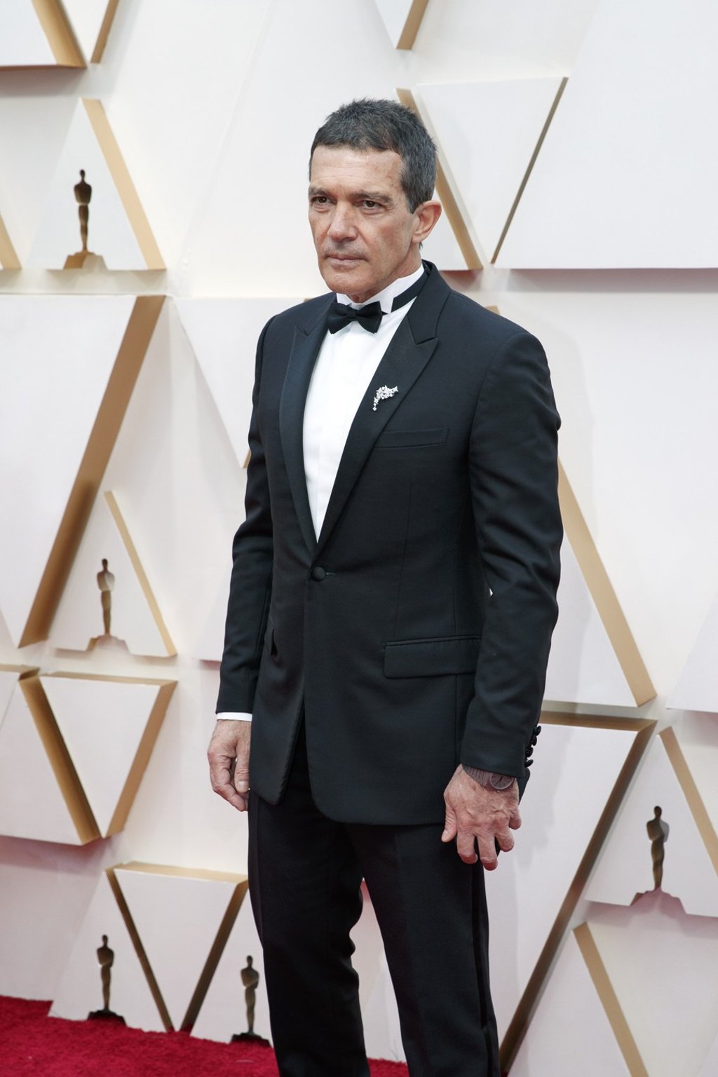 Antonio Banderas rocks a Bulgari Octo Finissimo at the Oscars. Photo: Getty Images Antonio Banderas rocks a Bulgari Octo Finissimo at the Oscars. Photo: Getty Images