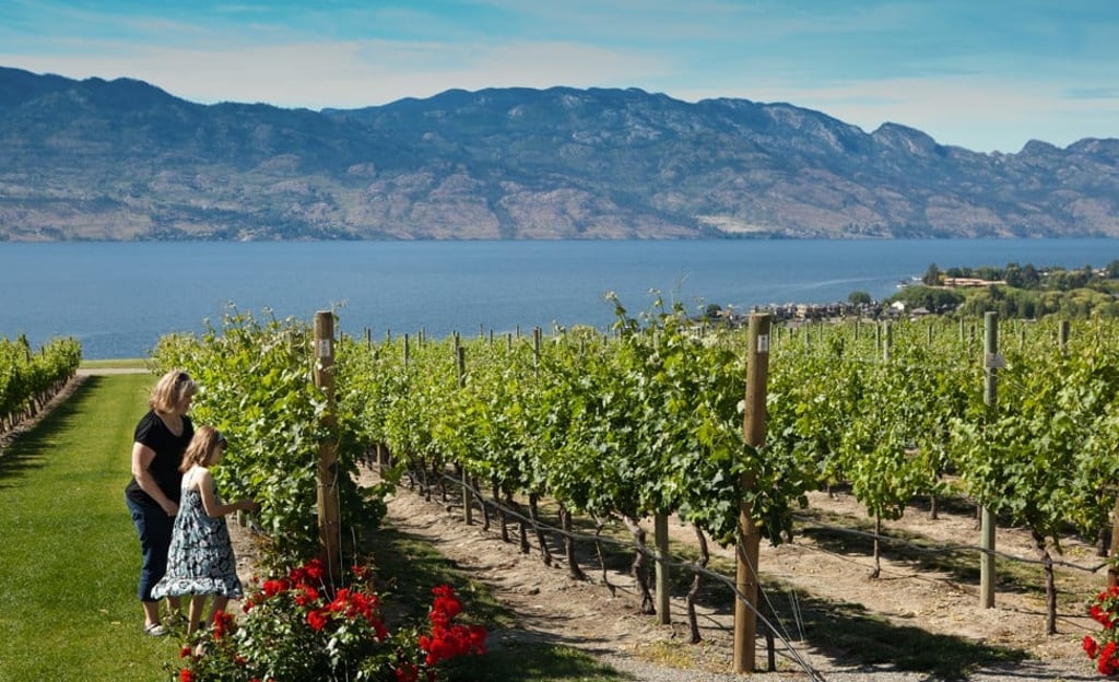 Canada's climate lends itself to the cultivation of a range of wines. Photo: Shawn Talbot Photography