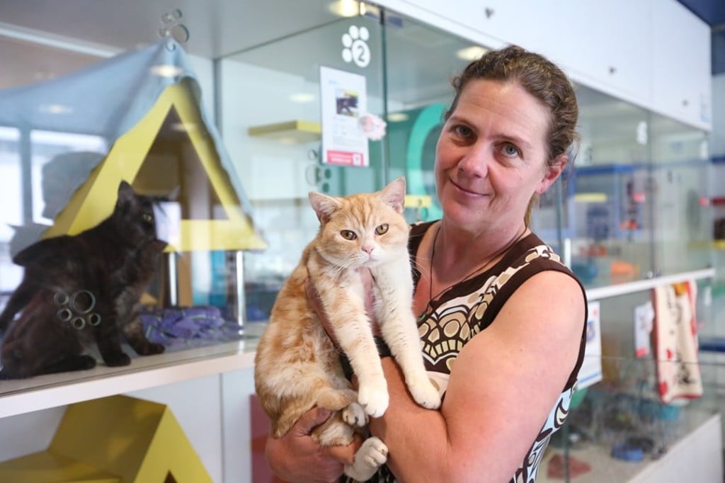 Fiona Woodhouse, the SPCA’s deputy director of welfare services, in Wan Chai. Photo: Nora Tam