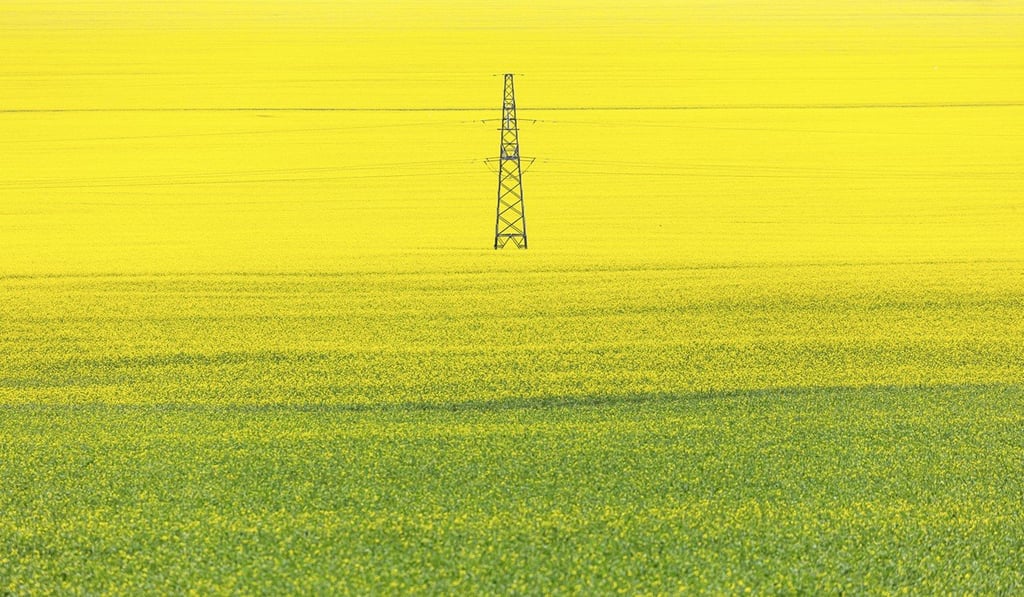 Qinghai #3. Photo: Tugo Cheng/Blue Lotus Gallery