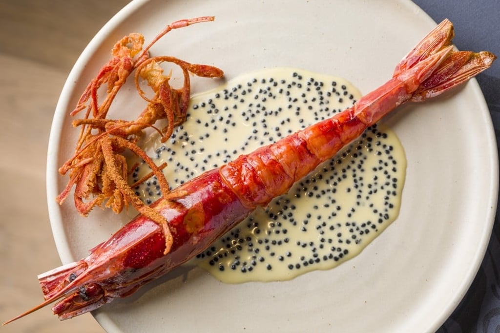 Carabineros prawn with smoked herring butter sauce. Carabineros prawn with smoked herring butter sauce.