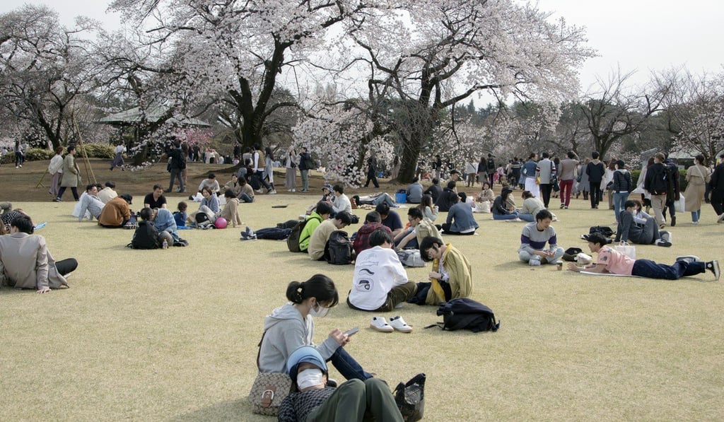 Japanese people wear face masks as they picnic under cherry trees in bloom at Shinjuku Gyoen National Garden in Tokyo. Photo: Bloomberg Japanese people wear face masks as they picnic under cherry trees in bloom at Shinjuku Gyoen National Garden in Tokyo. Photo: Bloomberg