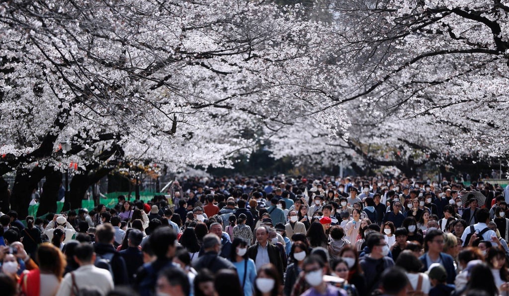 Thousands of people visit Ueno Park in Tokyo to see the cherry blossoms. Photo: Reuters