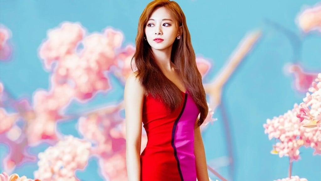 In 2015, Tzuyu danced on a South Korean variety show while holding the Taiwanese flag. It was an act that angered Chinese fans. In 2015, Tzuyu danced on a South Korean variety show while holding the Taiwanese flag. It was an act that angered Chinese fans.