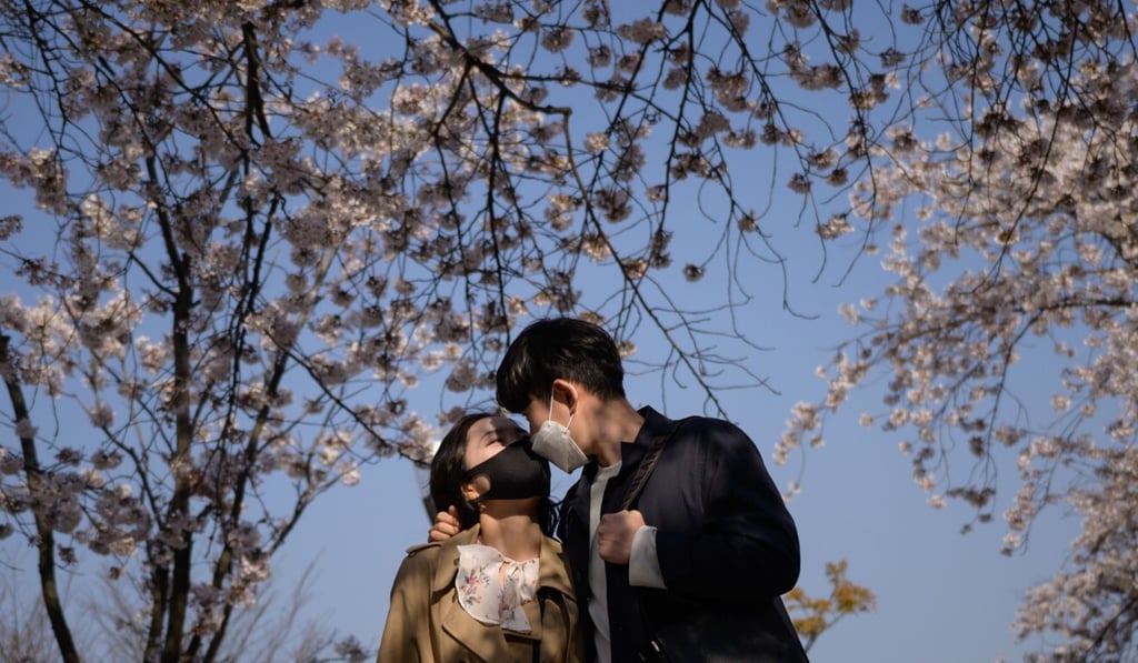 A young couple wearing face masks walk beneath blossom trees in the Yeouido district of Seoul on Sunday. Photo: AFP