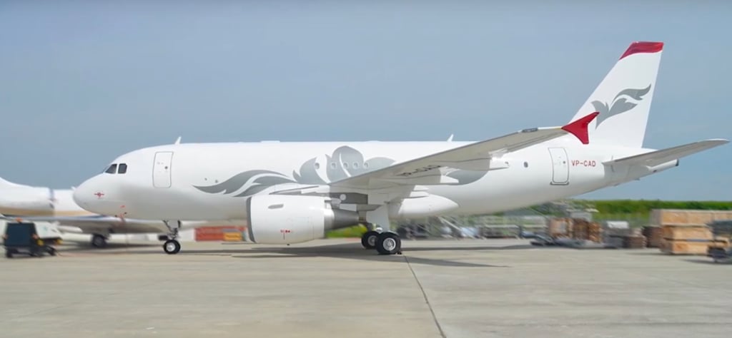 The Airbus ACJ319 is the private jet variant of the popular Airbus A319 aircraft used by airlines the world over. Photo: YouTube The Airbus ACJ319 is the private jet variant of the popular Airbus A319 aircraft used by airlines the world over. Photo: YouTube