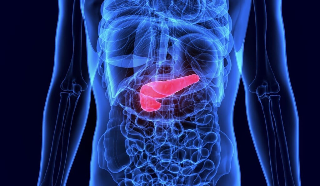 Diabetes is caused when the hormone insulin, produced by the pancreas (above, in red) – an organ of the digestive system – is unable to transfer the glucose from our blood into our cells, leading to high blood sugar levels. Photo: Shutterstock Diabetes is caused when the hormone insulin, produced by the pancreas (above, in red) – an organ of the digestive system – is unable to transfer the glucose from our blood into our cells, leading to high blood sugar levels. Photo: Shutterstock