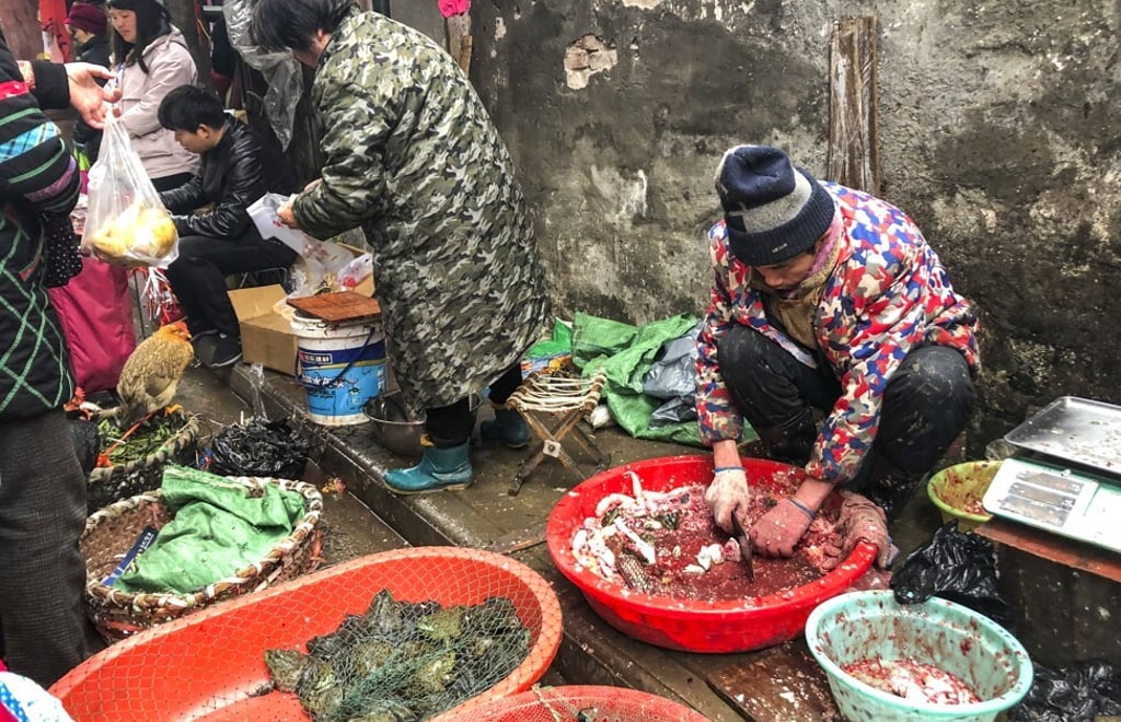A man kills a fish in a wet market in Wuhan city, Hubei province, China in January. Photo: Simon Song