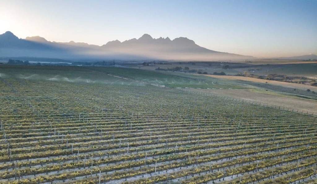 One of South Africa’s oldest ‘wine hotel farms’. Photo: Spier Hotel & Wine Farm