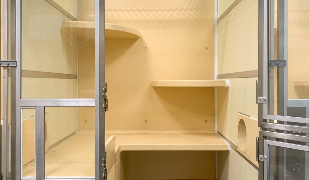 Dogs and cats that have to undergo quarantine at the Hong Kong Port of the Hong Kong-Zhuhai-Macao Bridge are kept in separate kennels. Photo: Handout