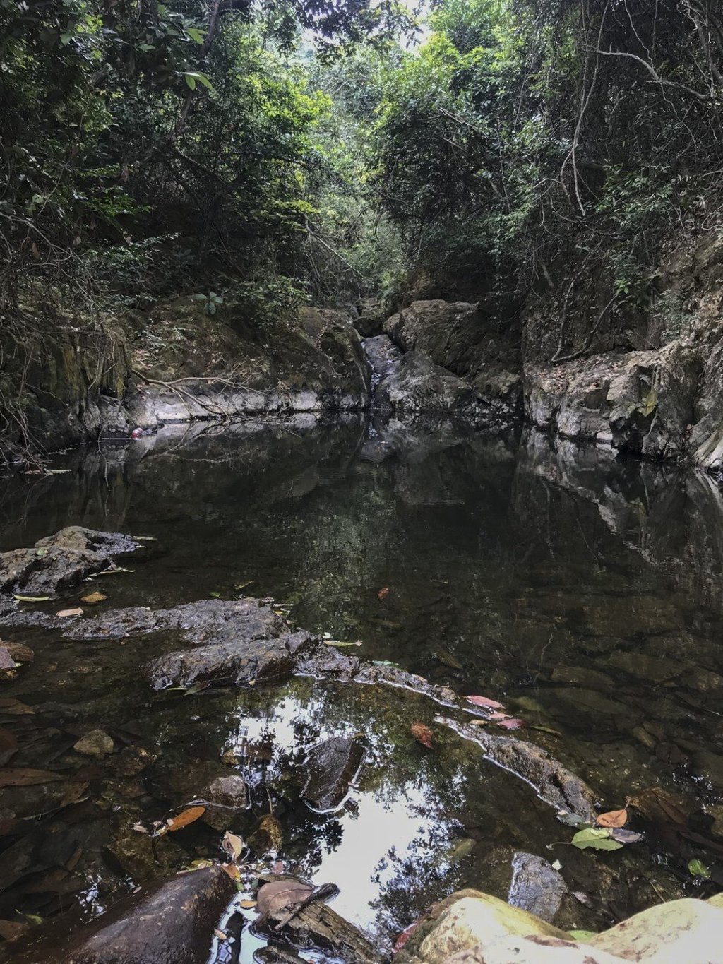 Tai Tam in Southern District, Hong Kong. Photo: Paul Zimmerman
