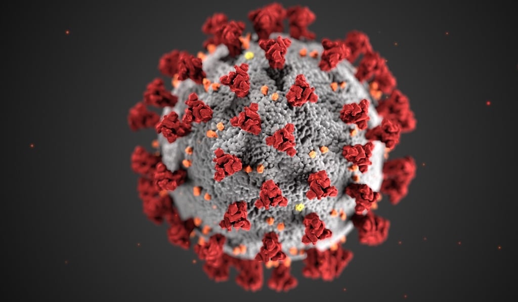 An illustration of the coronavirus. Photo: EPA-EFE/CDC