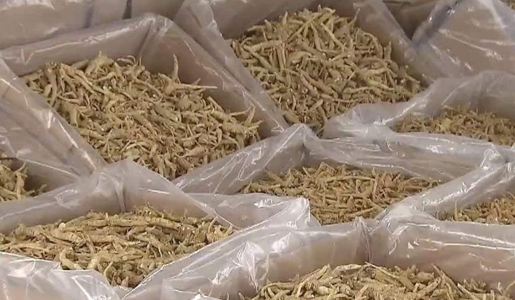 The 34 tonnes of ginseng seized on Thursday was the largest amount ever confiscated by Hong Kong authorities, both in quantity and dollar value. Photo: TVB News The 34 tonnes of ginseng seized on Thursday was the largest amount ever confiscated by Hong Kong authorities, both in quantity and dollar value. Photo: TVB News