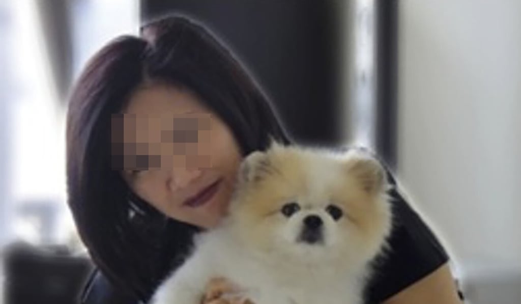 A 17-year-old Pomeranian in Hong Kong was the first dog in the world to test positive for the coronavirus. Photo: Facebook