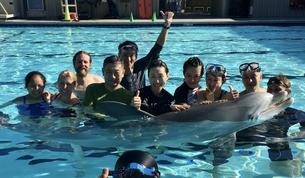 The team and a group of clients with a prototype of the robotic dolphin. Photo: Handout