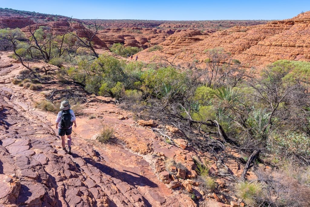 Kings Canyon, in Australia’s Northern Territory. Photo: Shutterstock