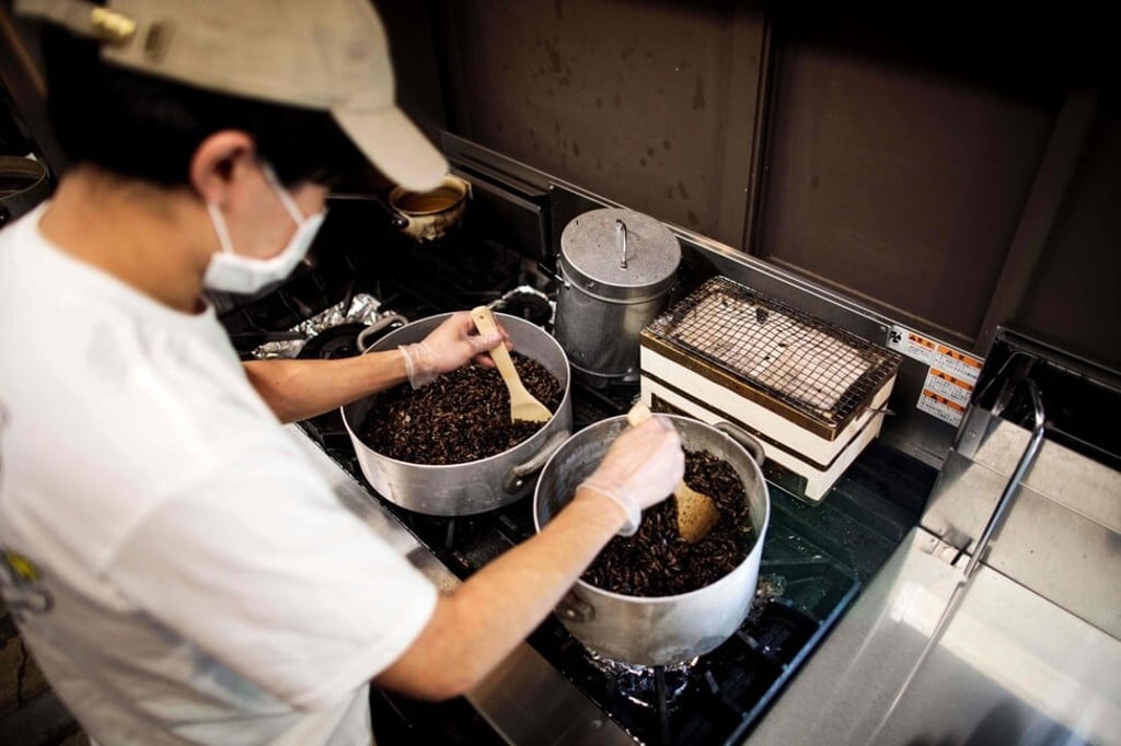 Yuto Shinohara fries crickets. He says his love of all things nature-related led him to insect-based food. Photo: AFP