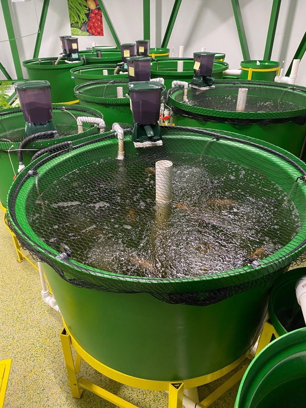 Aquaponics tanks help feed up to 75 occupants for more than five years. Aquaponics tanks help feed up to 75 occupants for more than five years.