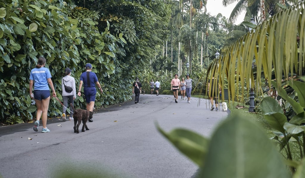 Experts say those in the middle of their careers can find it harder to compete in the jobs market. Photo: Bloomberg Experts say those in the middle of their careers can find it harder to compete in the jobs market. Photo: Bloomberg