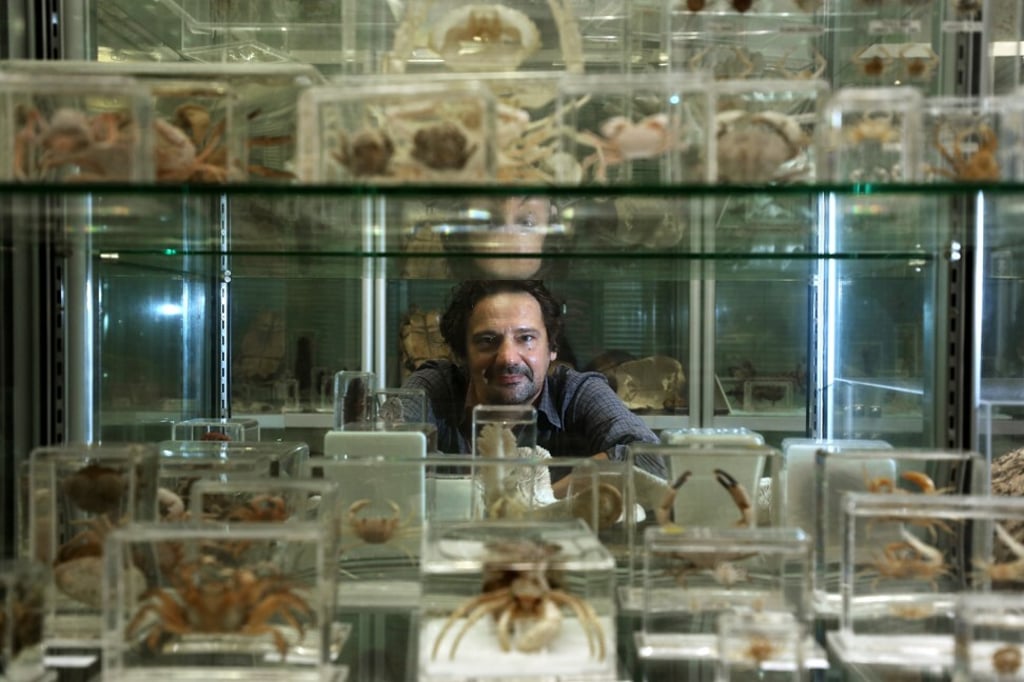 Stefano Cannicci at the University of Hong Kong’s mangrove ecology lab. Photo: Xiaomei Chen