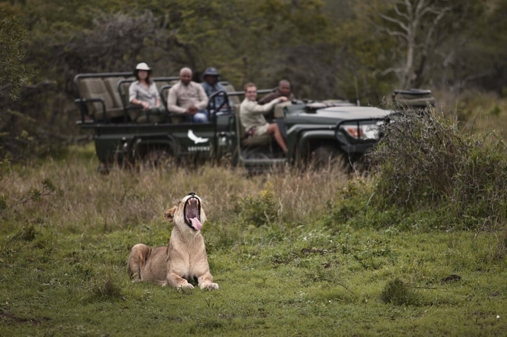 Travellers watch a lion at Mountain Lodge in KwaZulu-Natal, South Africa. Photo: andBeyond Travellers watch a lion at Mountain Lodge in KwaZulu-Natal, South Africa. Photo: andBeyond