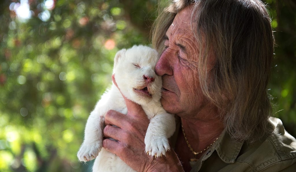 Zoo director Juan Luis Malpartida presents White King, the first white lion cub to be born in Spain, at the Guillena World Park Reserve in Seville on Wednesday. Photo: AFP
