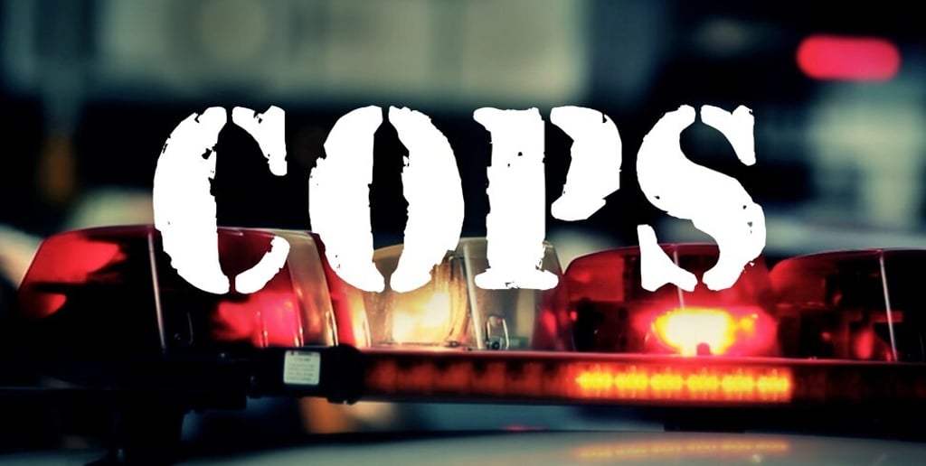 The logo for Paramount Network’s Cops reality show. It was pulled from the schedule after more than 30 years on air. Photo: Paramount Network
